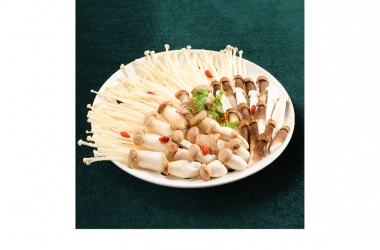 HEALTHY MUSHROOMS SET