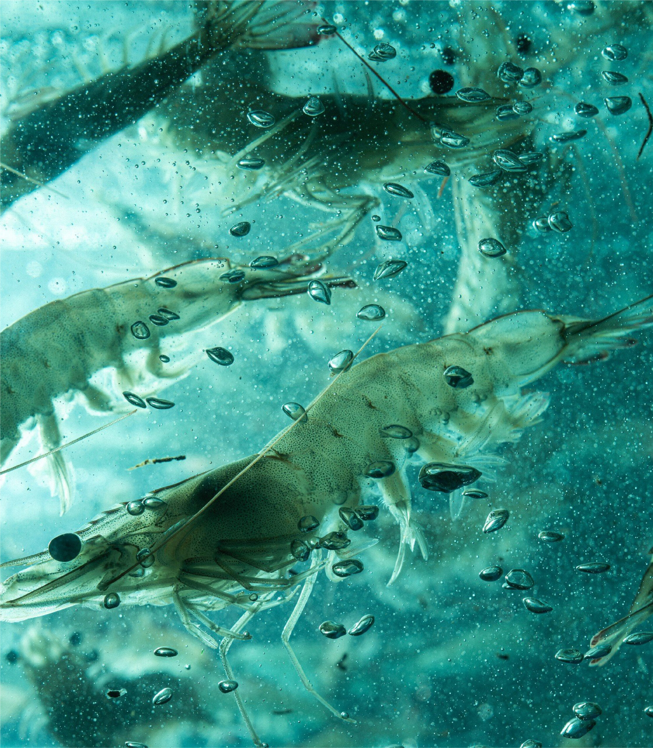 Untitled 1 12 scaled