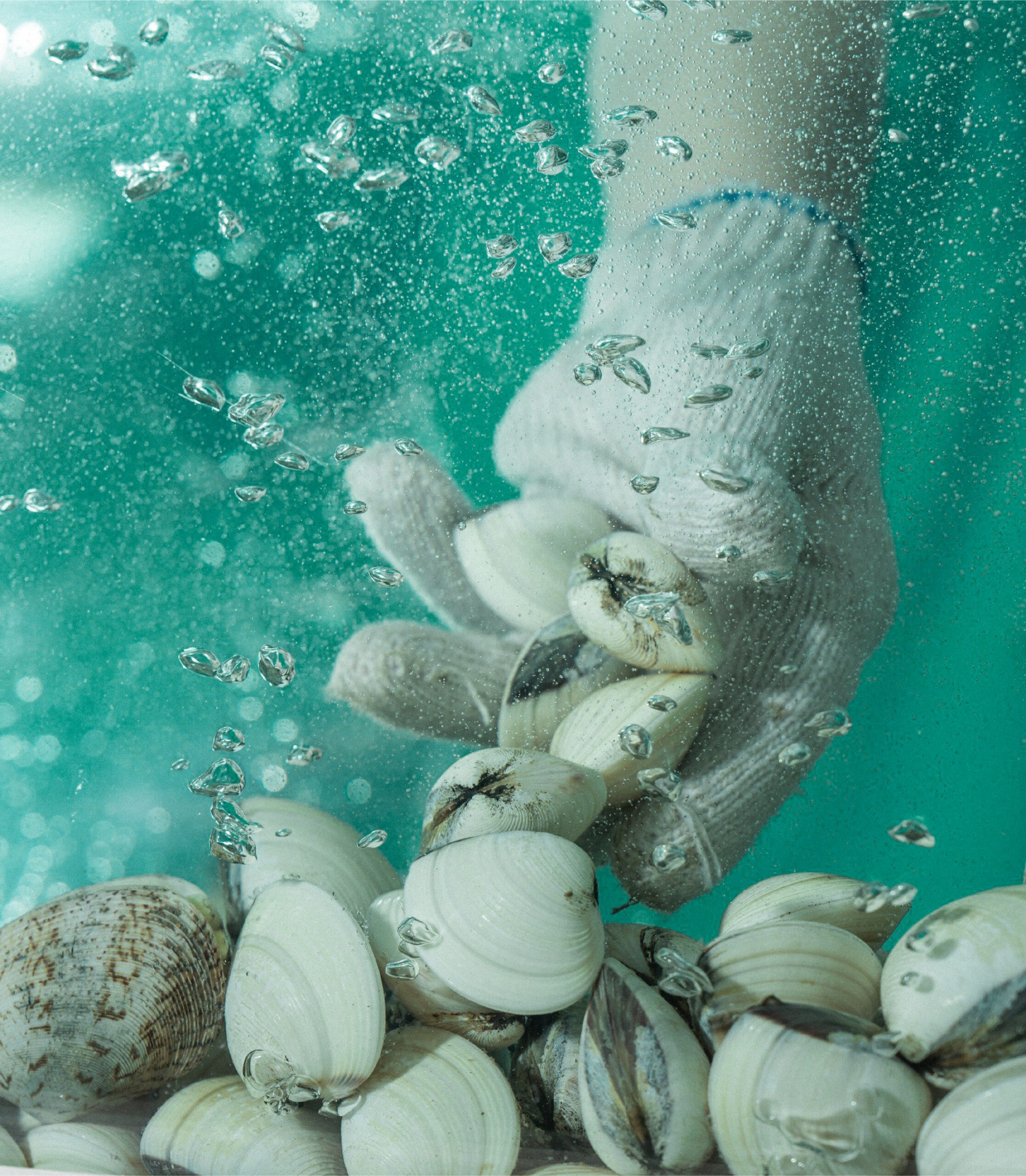 Untitled 1 13 scaled