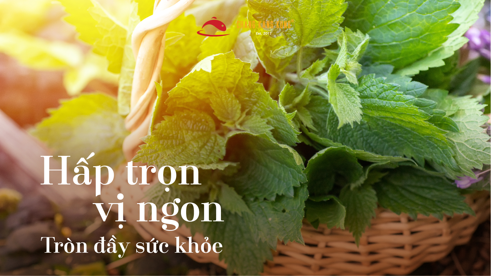 紫苏叶——风味诱人,助力提升流感季节的免疫力! 3 Untitled 1 19